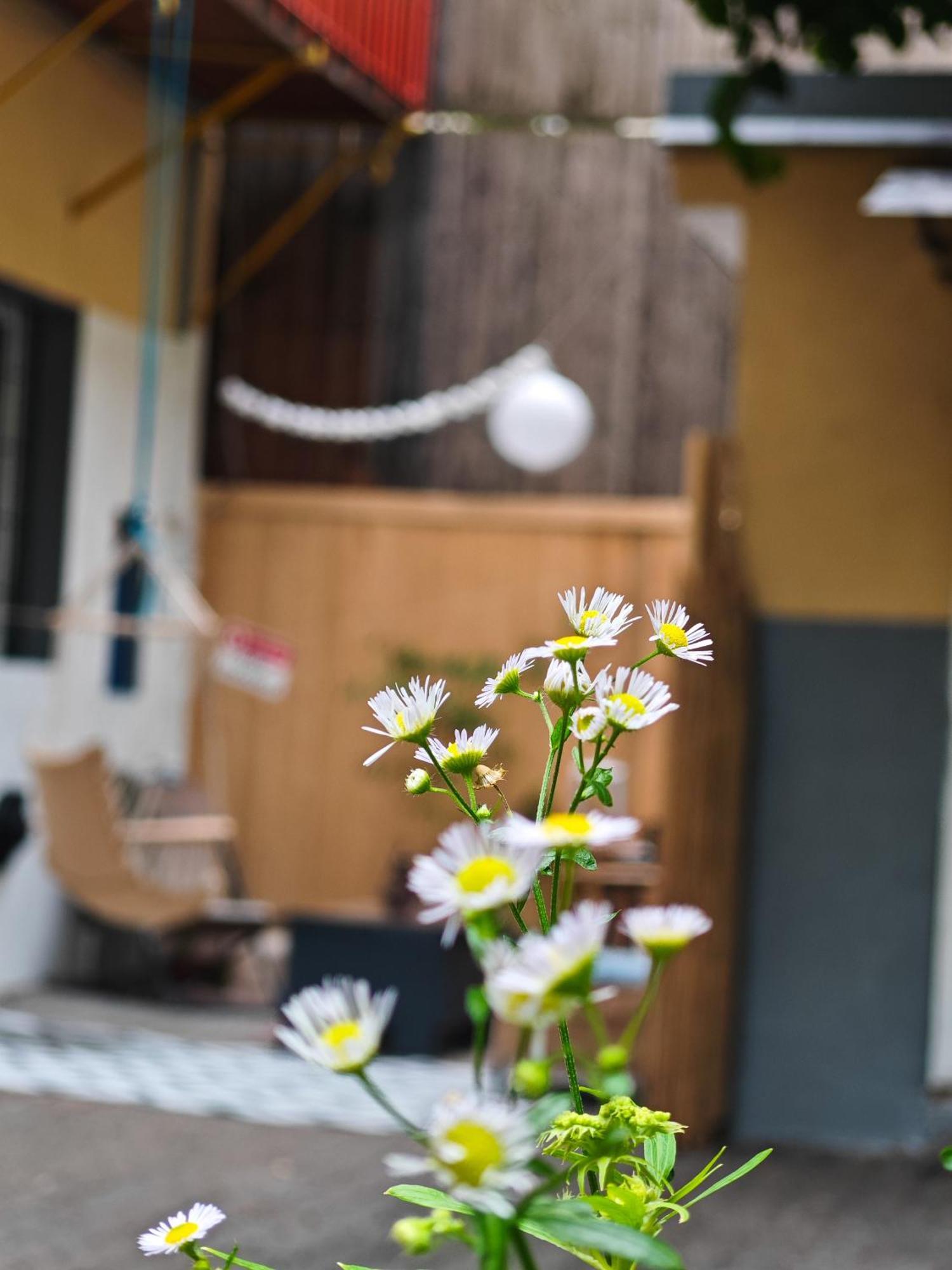 Vintage Room With Garden View Bratislava Eksteriør bilde