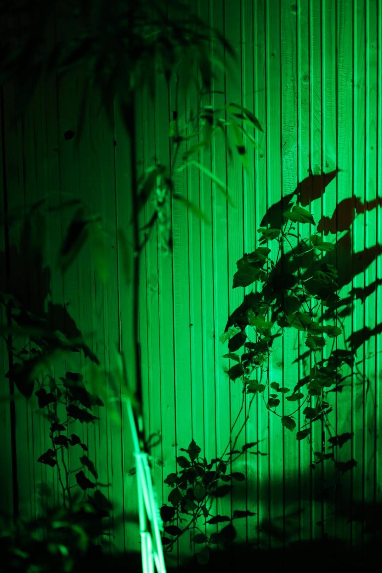 Vintage Room With Garden View Bratislava Eksteriør bilde